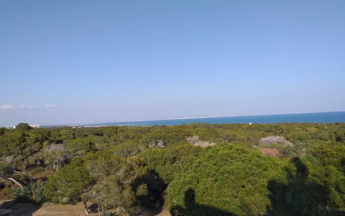 Nouvelle construction - Appartement - Guardamar del Segura - Pueblo