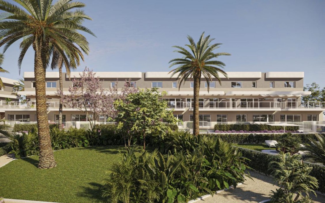 Nouvelle construction - Duplexes - Monforte del Cid