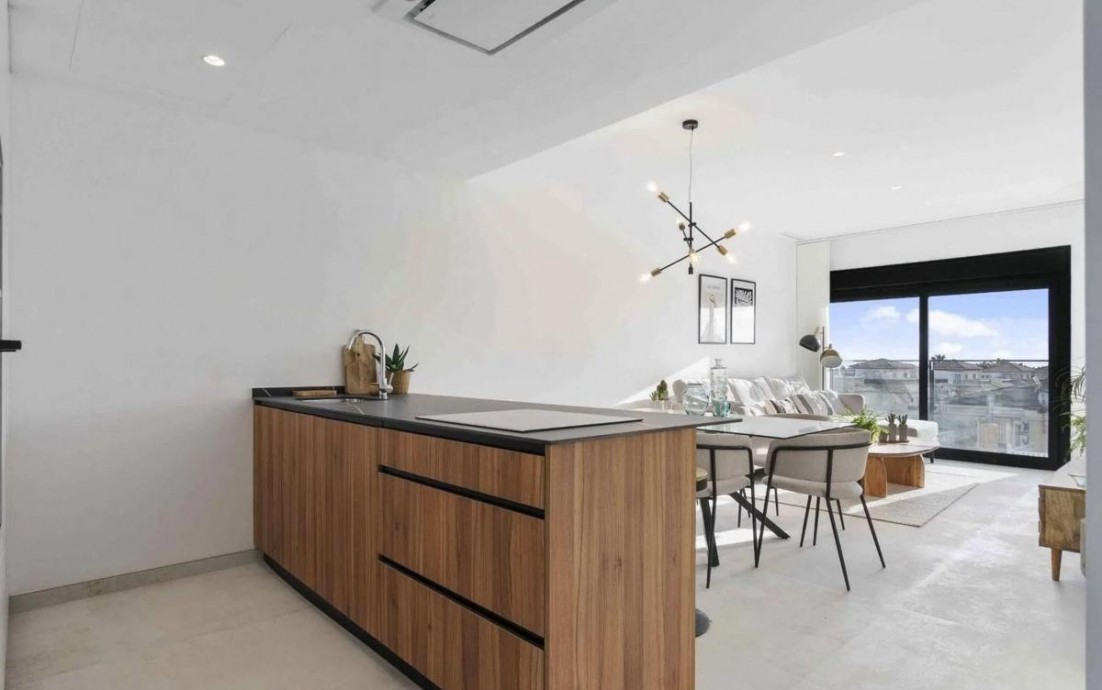 Nouvelle construction - Penthouses - Torrevieja