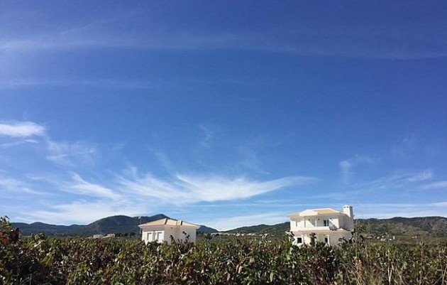 Nieuwbouw - Villa - Pinoso - Camino Del Prado