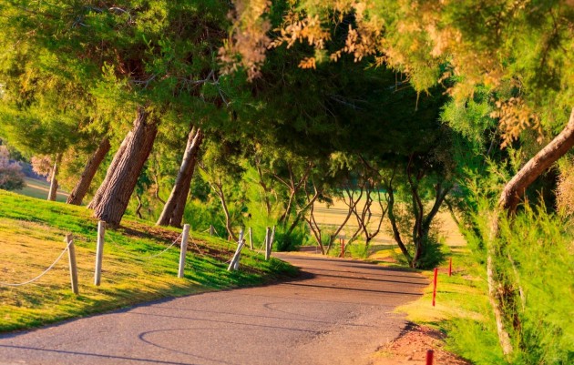 Nieuwbouw - Villa - Pilar de la Horadada - Lo Romero Golf