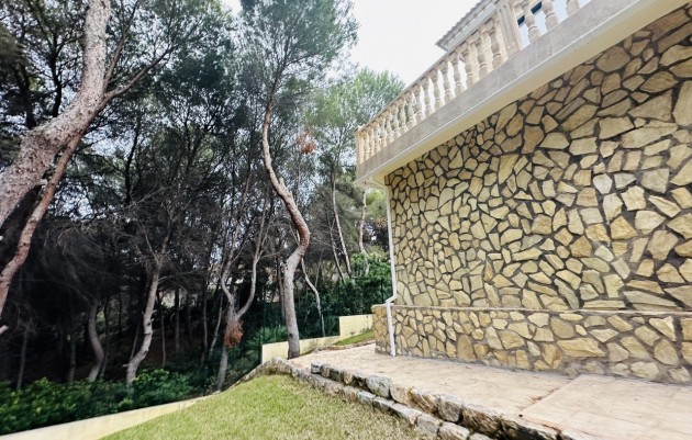 Nieuwbouw - Villa - Dehesa De Campoamor