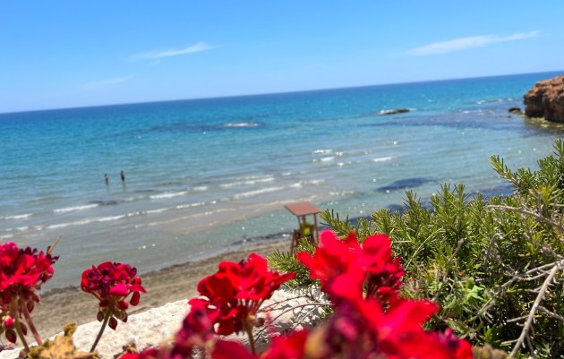 Resale - Villa - Los Dolses