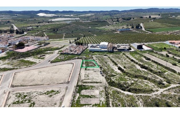 Venta - Parcela / Terreno - Torremendo