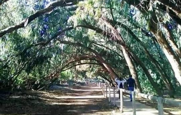 Nieuwbouw - Bungalow - Torrevieja - Altos del Sol