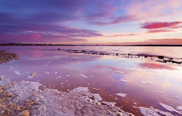 Nieuwbouw - Bungalow - Torrevieja - El chaparral