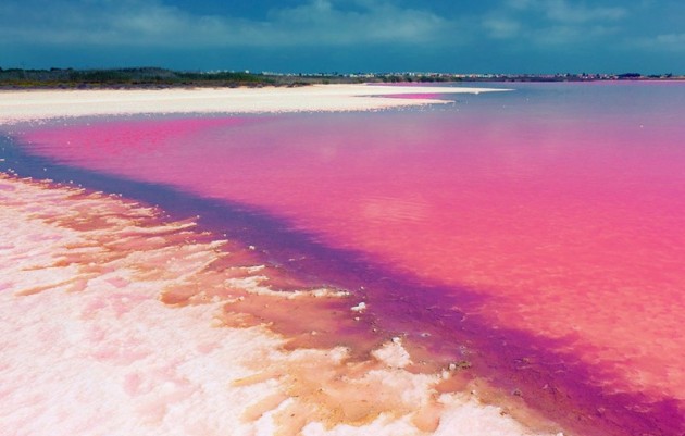 Nieuwbouw - Bungalow - Torrevieja - El chaparral