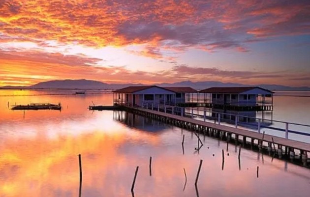 Nueva construcción  - Ground Floor Bungalow - San Pedro del Pinatar - Los Pinos