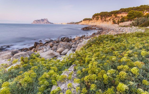 Nieuwbouw - Villa - Benissa - Cala Advocat