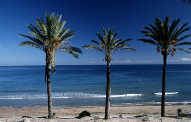 Nueva construcción  - Ground Floor Bungalow - Pilar de la Horadada - Parque Ramon eugenio Escudero