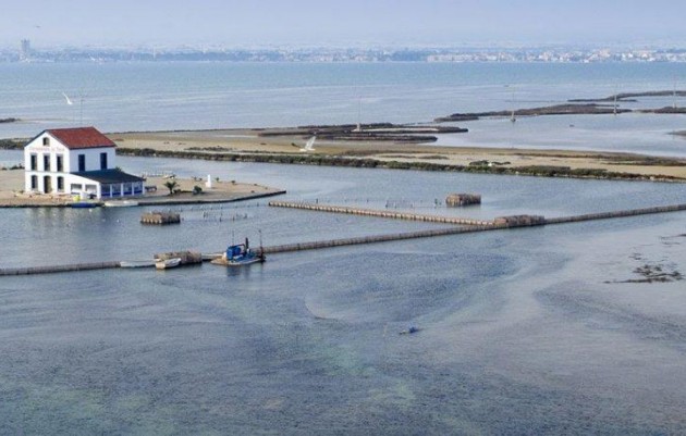 Nueva construcción  - Ground floor apartment - San Pedro del Pinatar - Pueblo