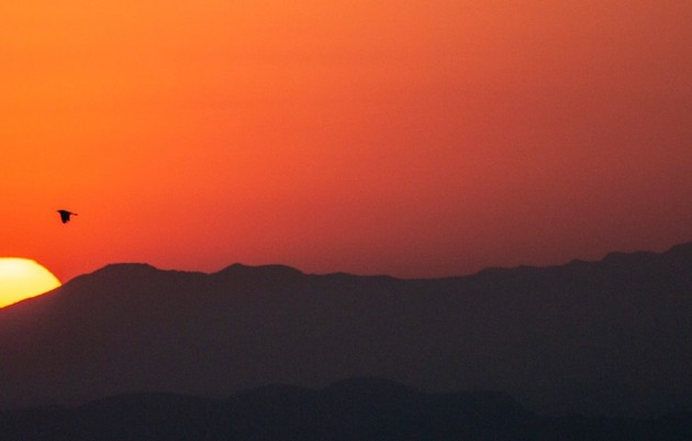 Revente - Penthouse - Algorfa - La Finca Golf