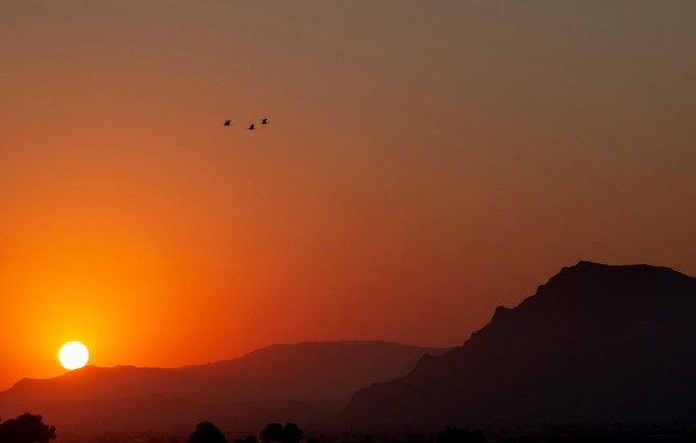 Revente - Penthouse - Algorfa - La Finca Golf