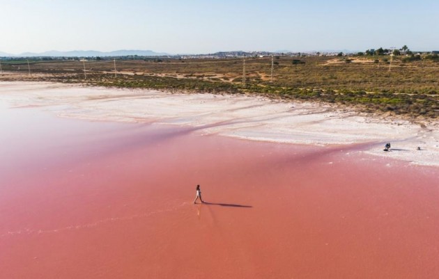 Nueva construcción  - Apartamento - Torrevieja - Habaneras