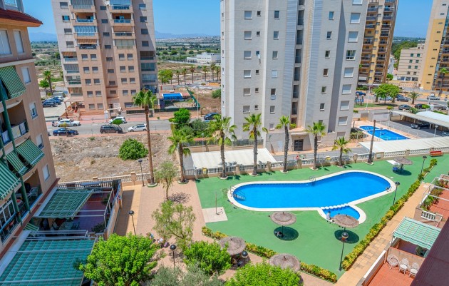 Herverkoop - 1. Apartment / flat - Guardamar del Segura