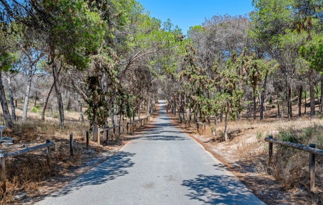Herverkoop - 1. Apartment / flat - Guardamar del Segura