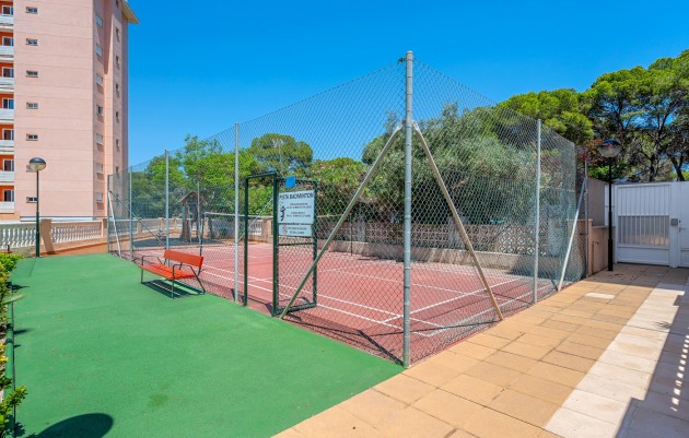 Herverkoop - 1. Apartment / flat - Guardamar del Segura