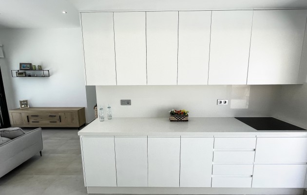 Nieuwbouw - Villas - Pilar de la Horadada