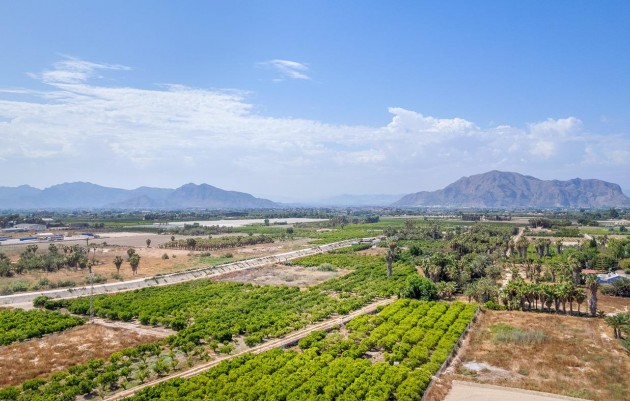 Nieuwbouw - Appartement - Jacarilla - pueblo
