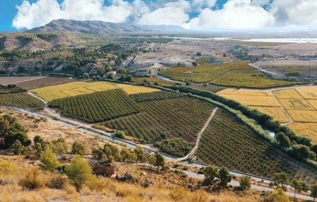 Nieuwbouw - Villa - Calasparra - Coto riñales