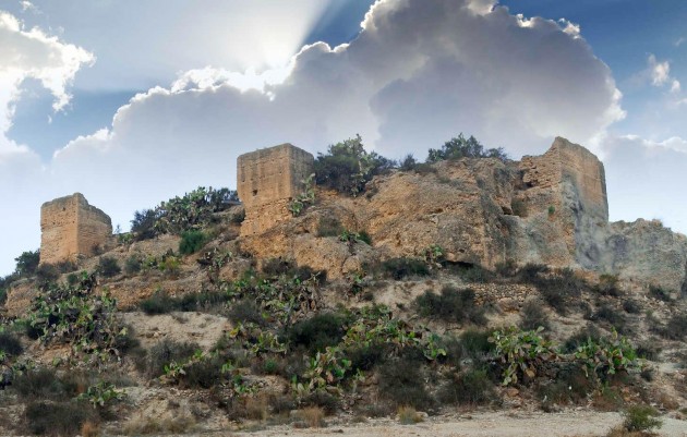 Nouvelle construction - Villa - Aspe