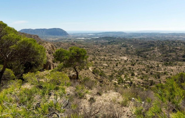 Nouvelle construction - Villa - Aspe