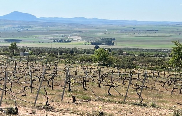 Nieuwbouw - Villa - Yecla