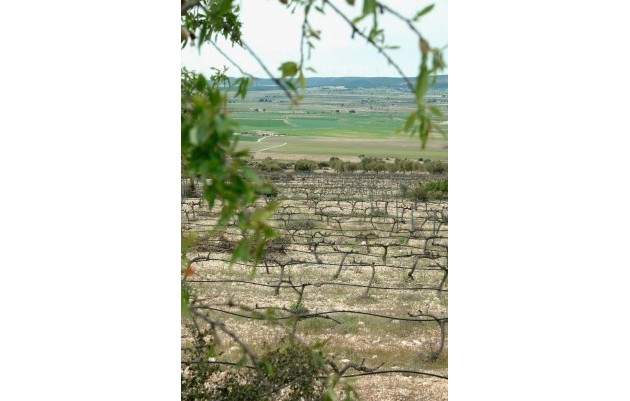 New Build - Villa - Yecla