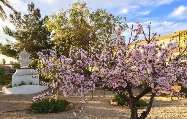 New Build - Villa - LOS URRUTIAS - ESTRELLA DE MAR