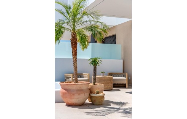 Nieuwbouw - Town House - Dolores - Sector 3