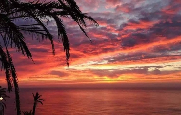 Nieuwbouw - Top Floor Bungalow - Torrevieja - Altos del Sol