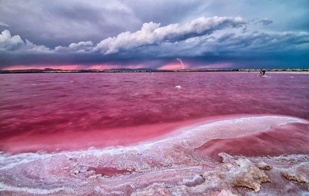 Nieuwbouw - Top Floor Bungalow - Torrevieja - Altos del Sol