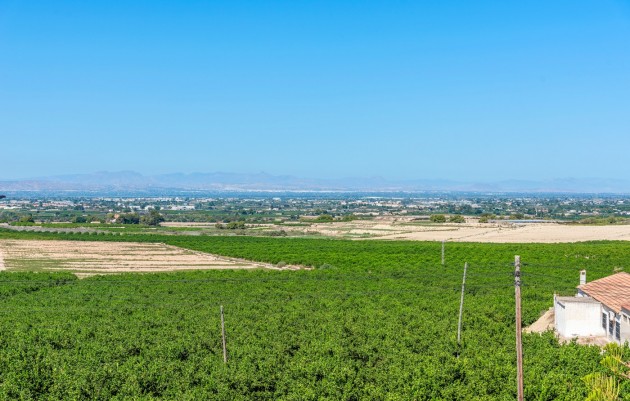 Resale - Villa - Almoradí