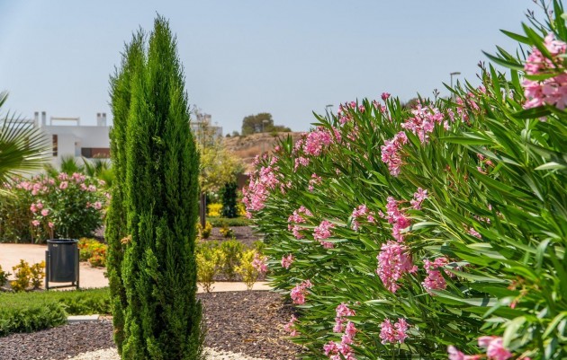 Nieuwbouw - Town House - Orihuela - Vistabella Golf