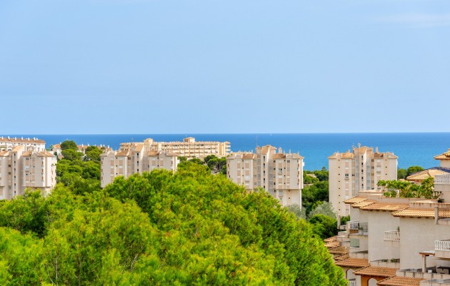 Herverkoop - 1. Apartment / flat - Orihuela Costa - Dehesa de campoamor