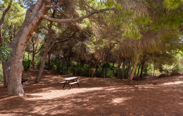 Herverkoop - 1. Apartment / flat - Orihuela Costa - Dehesa de campoamor