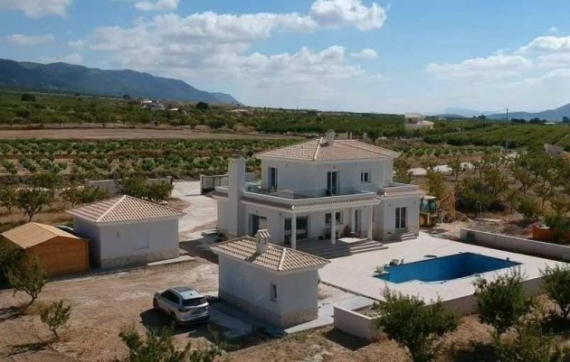 New Build - Villa - Pinoso - Camino Del Prado