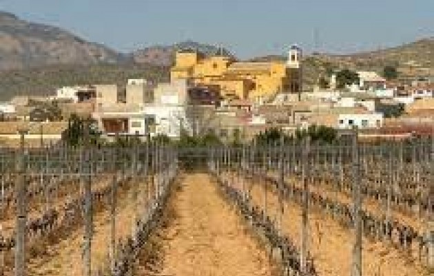 Nieuwbouw - Bungalow - Hondón de las Nieves - Canalosa