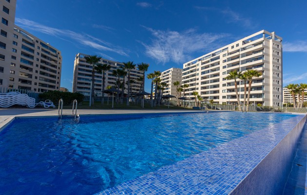 Herverkoop - Appartement - Torrevieja - Punta Prima