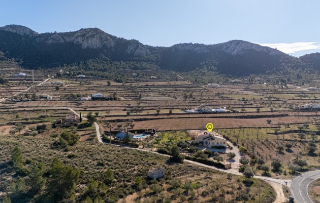 Resale - Finca Country Property - La Zarza