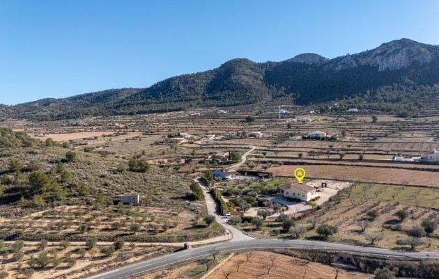 Resale - Finca Country Property - La Zarza