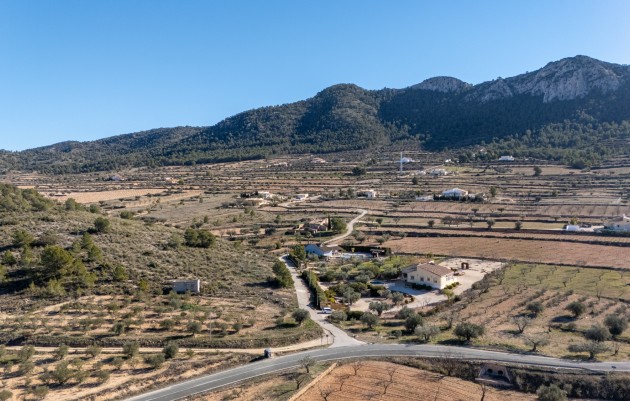 Resale - Finca Country Property - La Zarza