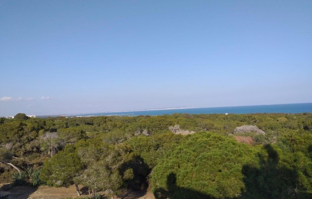 Nueva construcción  - Ático - Guardamar del Segura - Pueblo