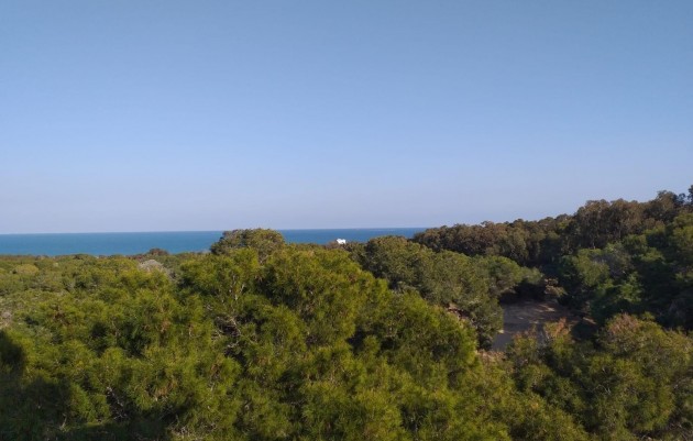 Nueva construcción  - Ático - Guardamar del Segura - Pueblo