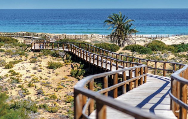 Nouvelle construction - Duplexes - Monforte del Cid