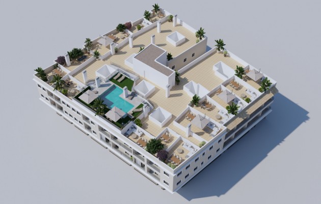 Nouvelle construction - Penthouses - Algorfa