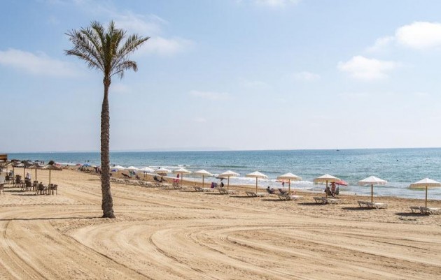 Nueva construcción  - Ático - Guardamar del Segura - Pueblo