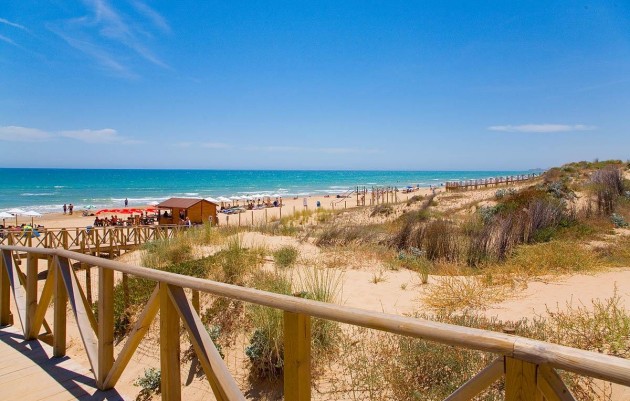 Nueva construcción  - Apartamento - Guardamar del Segura - Pueblo