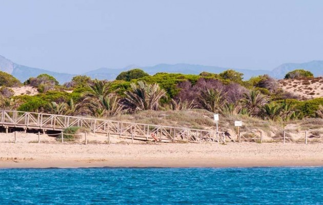 Nueva construcción  - Apartamento - Guardamar del Segura - Pueblo