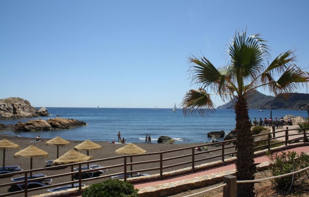 Nieuwbouw - Town House - La Union - centro